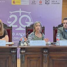 Sentencias que tardan al menos tres años: Abogadas especializadas advierten del colapso de las secciones de violencia sobre la mujer